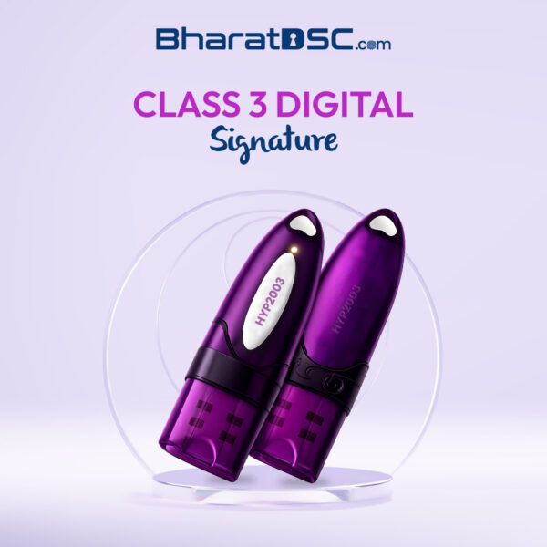 Class 3 DSC, Class 3 Digital Signature